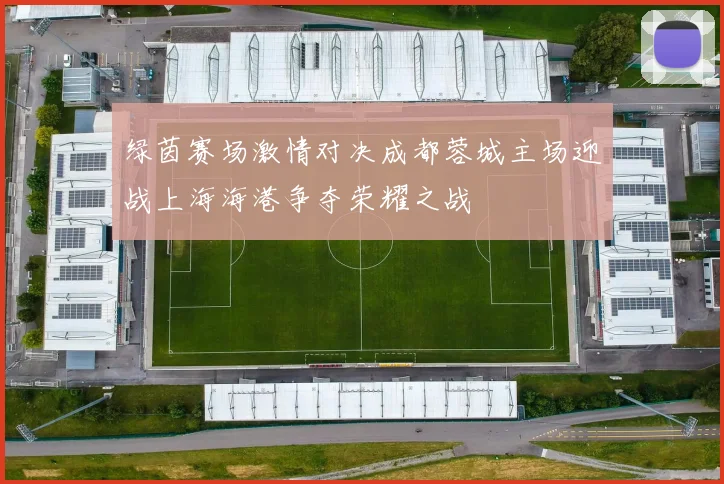 绿茵赛场激情对决成都蓉城主场迎战上海海港争夺荣耀之战